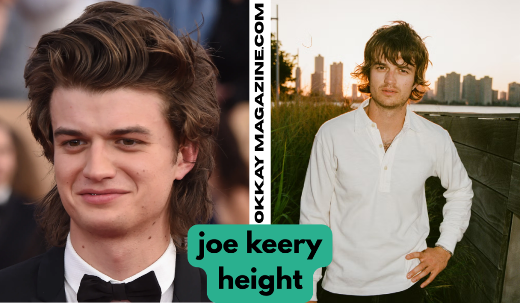 Joe Keery Height: How Tall Is the Stranger Things Star? joe keery height